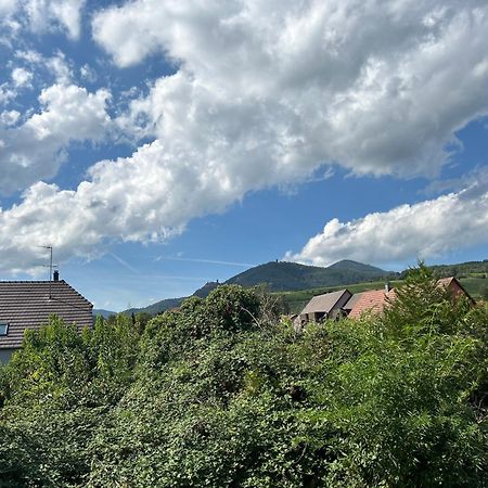 Gite Neuf En Duplex Tout Confort Ribeauville  Bagian luar foto
