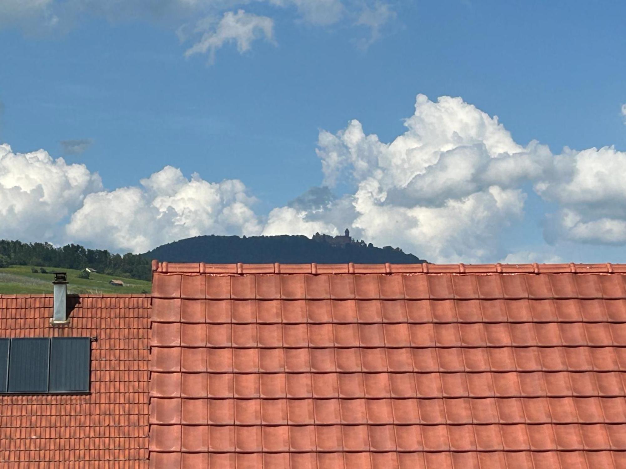 Gite Neuf En Duplex Tout Confort Ribeauville  Bagian luar foto